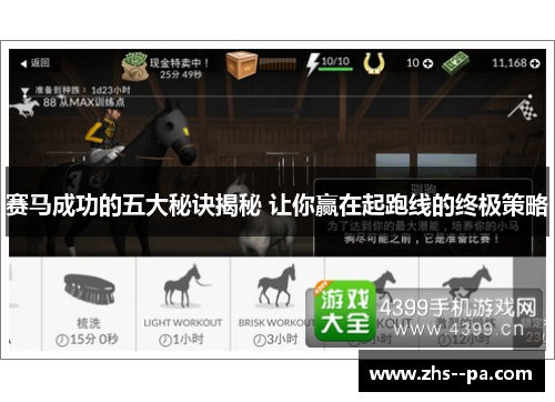 赛马成功的五大秘诀揭秘 让你赢在起跑线的终极策略