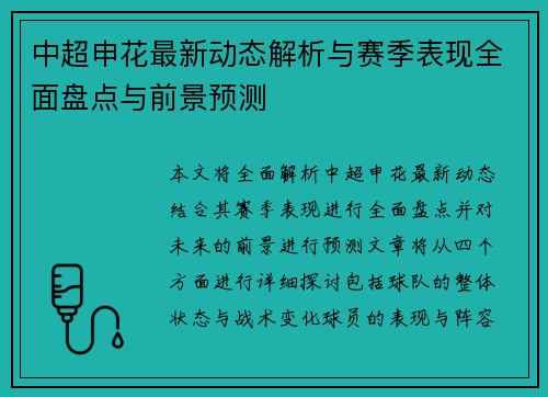 中超申花最新动态解析与赛季表现全面盘点与前景预测